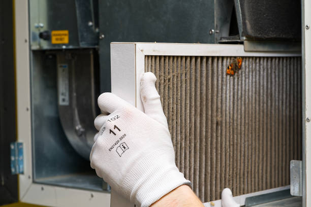 Best Air Quality Test  in Senath, MO